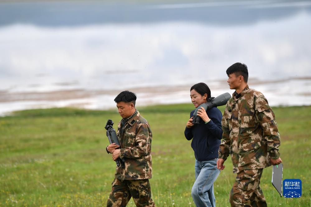押注软件